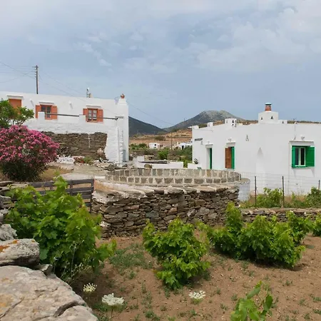 αλωνι Απολλωνία